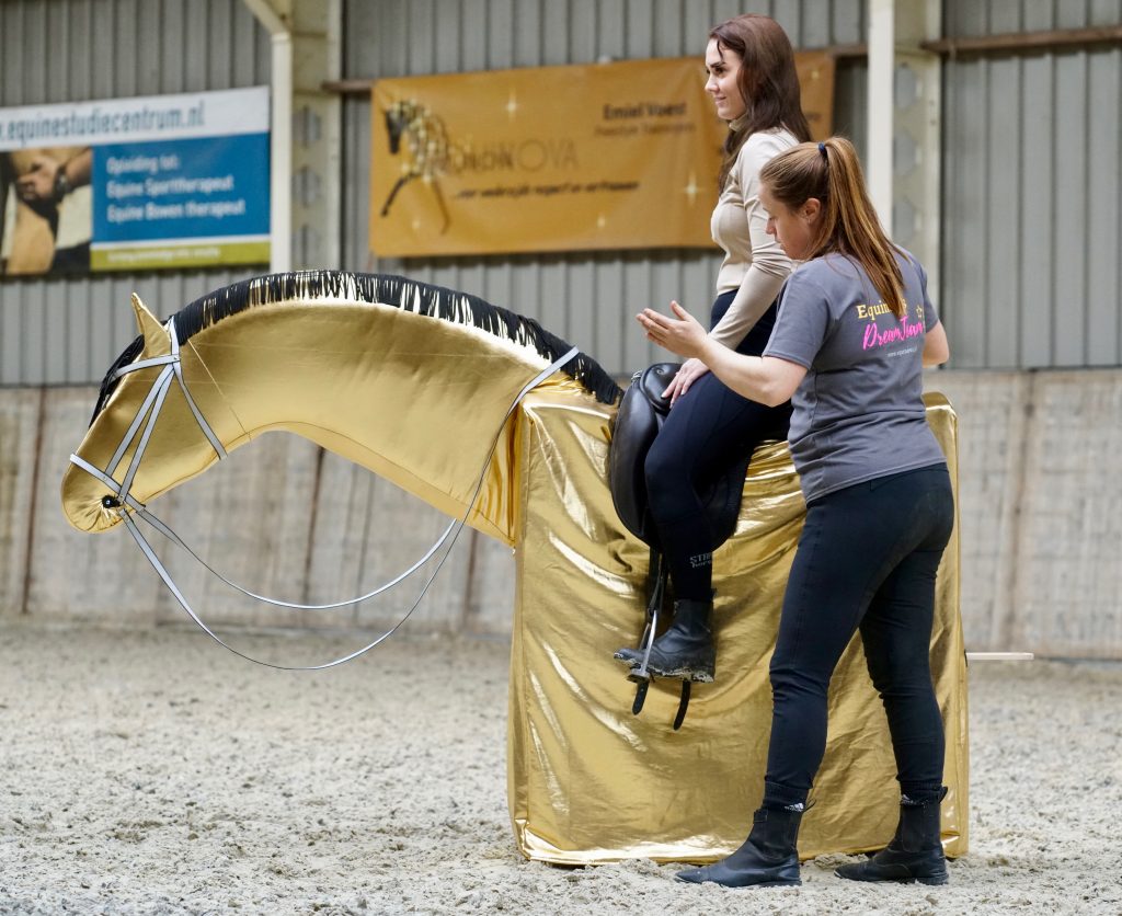 Joker is ontworpen zodat de ruiter kan worden getraind zonder het paard te belasten